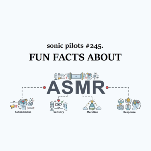 #245. 东莞，二次元，ASMR