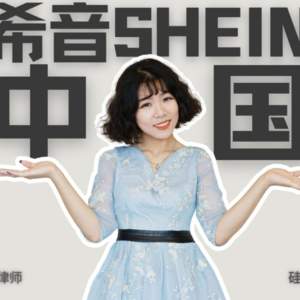 【硅谷宝典四十二章经（19）】希音（SHEIN）“去中国化”之路