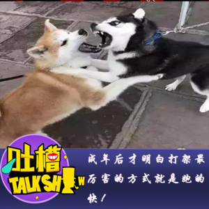成年后才明白打架最厉害的方式就是跑的快！