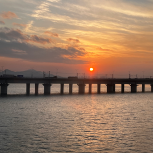 没有存在感的猫猫☀️☀️