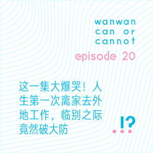 EP20|这一集大爆哭!人生第一次离家去外地工作,临别之际竟然破大防