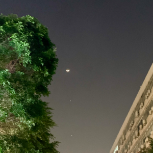 128. 被优化的我，被神化的互联网
