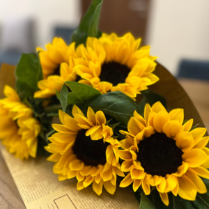 第11期学会与孤独相处的重要一课——习得分离的能力