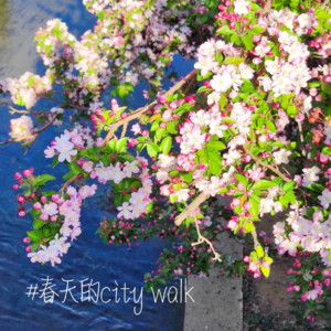 EP38-春天的city walk｜快乐只需50块（不到）