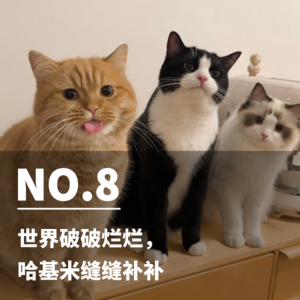 08 | 世界破破烂烂,哈基米缝缝补补