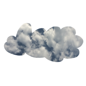 003“学畜之间一场不务正业的漫谈”