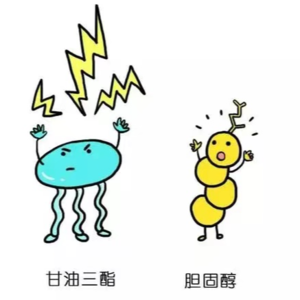 29.【科普】喝不够的奶茶，熬不完的夜！《当代青年自救指南（血脂篇）》