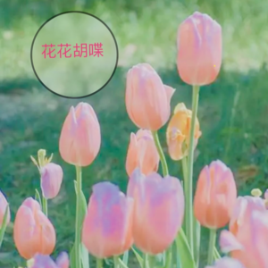 无论如何，祝你生日快乐！