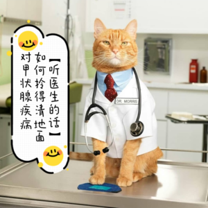 Vol.21【听医生的话】如何拎得清地面对甲状腺疾病