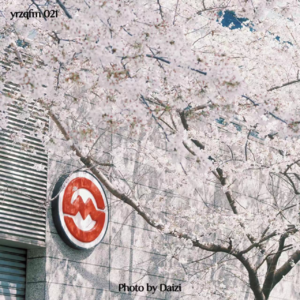 021 都市围城：我也想做四海为家的数字游民啊！