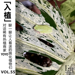 Vol.55【入植】对话稀有热植商家YOYO，聊一聊让人着迷的锦化植物们