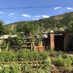 闲聊以及回答关于自由攀登的问题