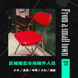 Vol.65 县城婚恋市场编外人员,这些遭遇太奇葩!