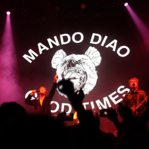 vol.4 不小心邂逅了一只宝藏乐队