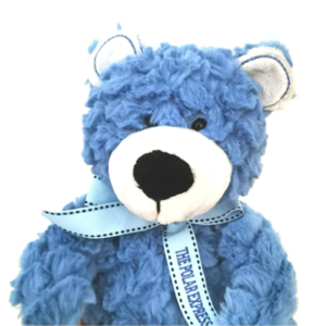 Blue Bear-为什么是蓝熊？而什么又是安全感？