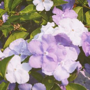 #EP 19 QE Channel 愿每一日更容易