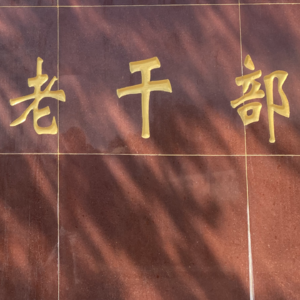 二月新能源销量 “新老势力”双雄争霸