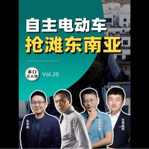EP.20 自主品牌,抢滩东南亚?竟然面临的都是这些挑战?