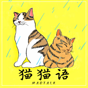 02. 养猫也搞性别歧视？