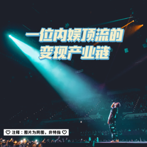 22 一位内娱顶流的变现产业链
