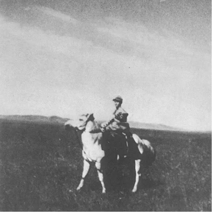 西藏游牧生活观察家罗伯特·埃克瓦尔