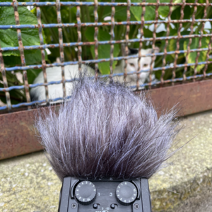 Vol.2 带上TA的耳朵：关于意大利的声音日记