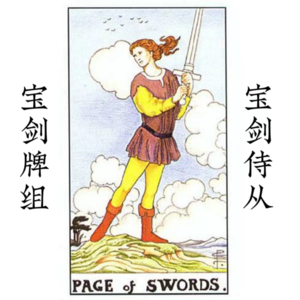 宝剑侍从—警觉｜八卦小王子/小公举的话你会相信吗？