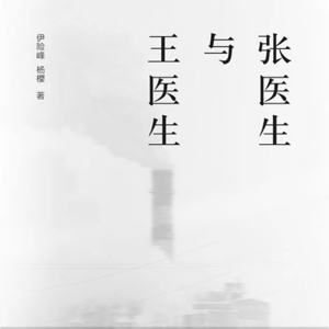 书 11| 张医生和王医生:“奖学金男孩”的阶级跃升