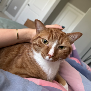 ep10. 口水音/少量食音/独白助眠ASMR｜气泡水 含片 触碰键盘/日记本/照片