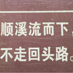 #047 顺流而下，我决定裸辞开始FIRE生活