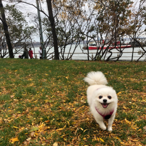 S1E2 趣书分享：人间跳戏指南《你值得过更好的生活》