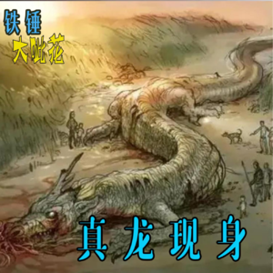Vol034. 真龙现身：1934年辽宁营口坠龙，到底是不是真的？