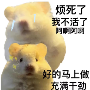 关于“努力"“卷”和“躺”的人生课题