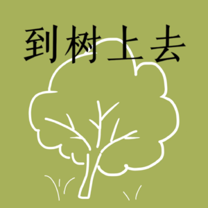 02 | 原来国内外读研体验是如此不同啊（学习篇）