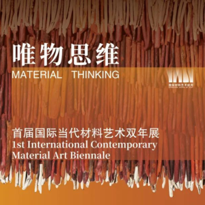 Vol.24 对话策展人张敢:解读首届“国际材料艺术双年展”