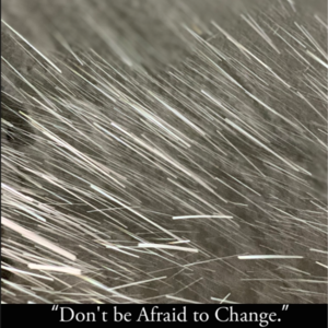 与法语老师们Brunch聊语言学习: Let's talk about French learning