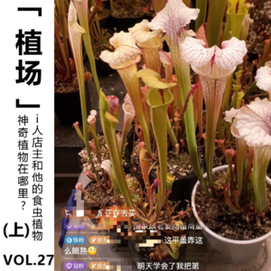 Vol.27【植场】神奇植物在哪里？i人店主和他的食虫植物 (上)