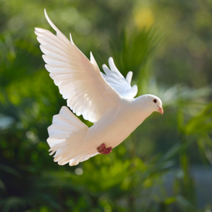 vol.3 《钻石广场》：一个普通女人的平凡与伟大