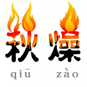 VOL.024拨开秋日健康迷雾，一起解锁养生的智慧之钥！