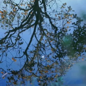 【邂逅时节-立冬】立冬腌菜，天凉贴膘