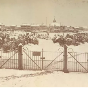 12月30日：上海二十年未遇之大雪深二尺