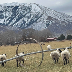 独处的时光也没那么糟糕 | It's not that bad to stay alone