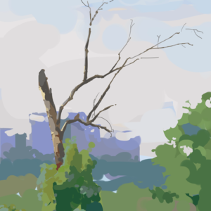 异乡人，今年你扫墓了吗？