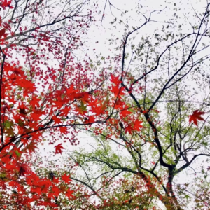 Vol.27 谈放开：世界这么大，还能去看看吗？