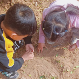 记起自己真实的身份：我们是一体的，无限永恒无形的一和爱的分身