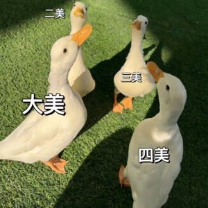 No.003-夏色渐郁,祝各位,四美兼具