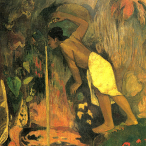 吃虫子，玩Cosplay，研究机器人？——揭秘人类学那些「不可理喻」的传闻｜话梅堂·特别档·人类学快问快答03