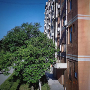 VOL13.小罗与我：行乐直须年少，别来几度春风。