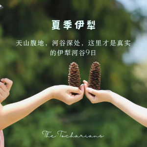 2024年,我们在夏季伊犁河谷怎么玩?