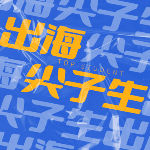 Vol.10 全网最真实的中东跨境市场：揭秘本土热门平台、消费旺季与选品策略